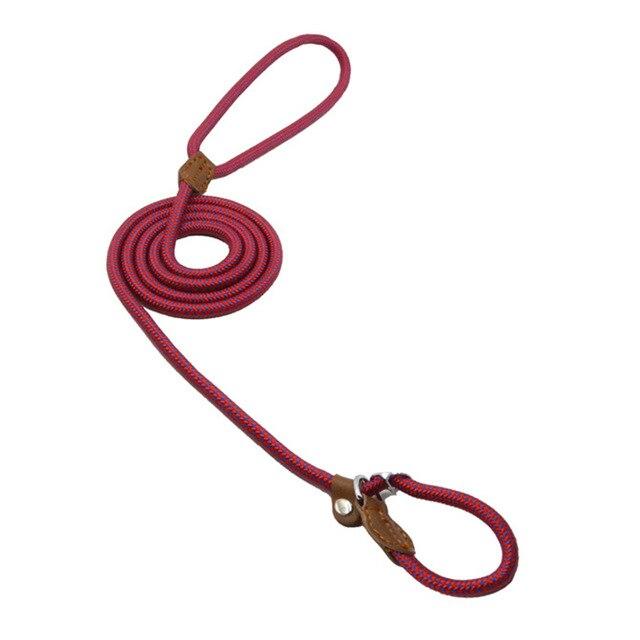 Nylon Duo Collar and Lead Set