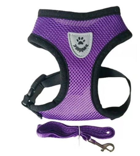 Elegant Mesh Pet Harness with Leash - 5 Colors