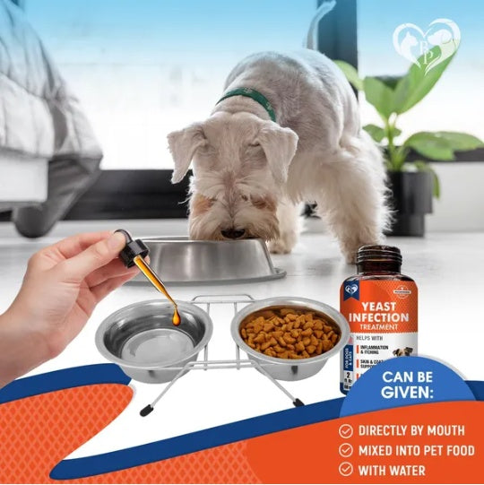Natural Yeast Infection Drops for Canine Relief