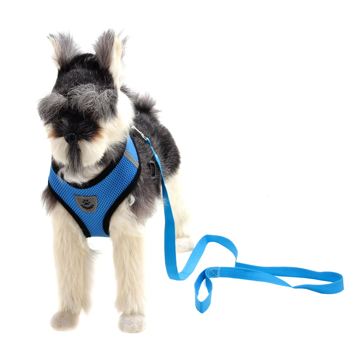 Elegant Mesh Pet Harness with Leash - 5 Colors