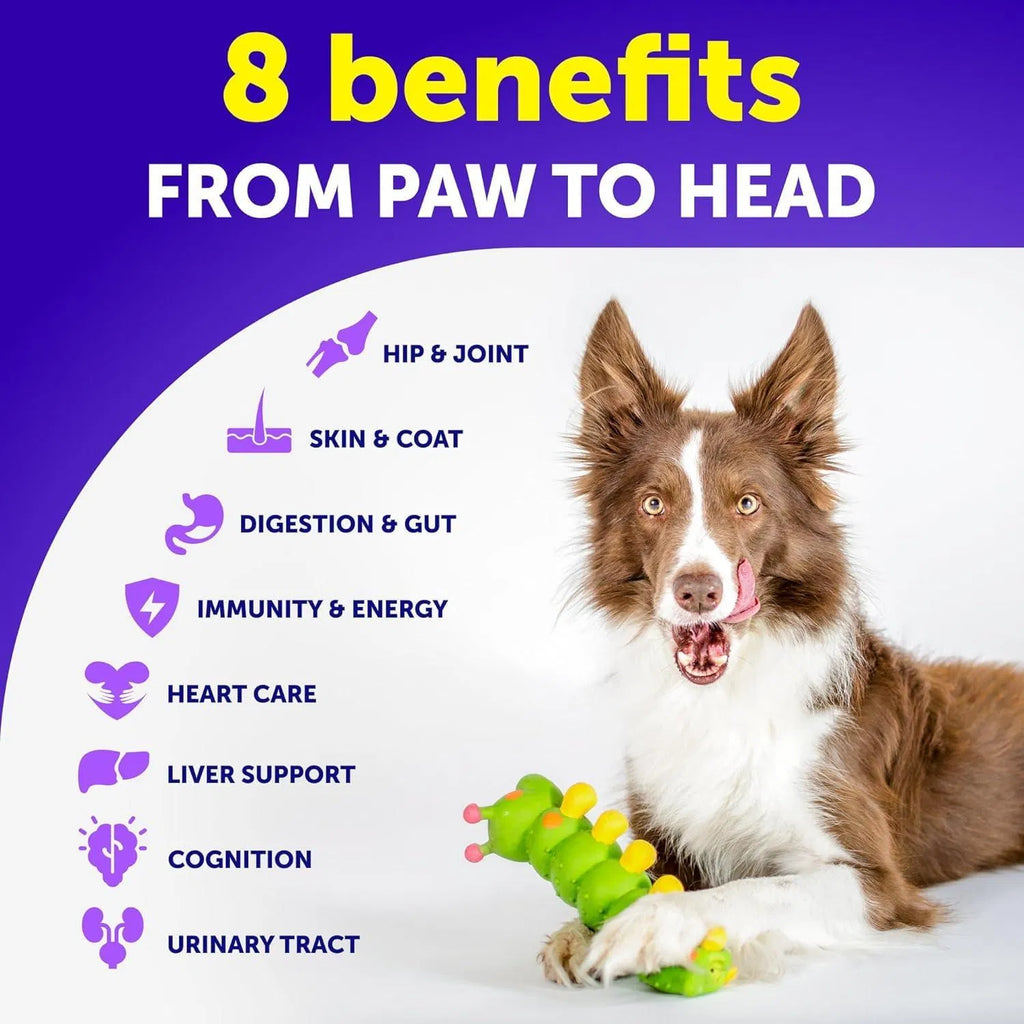 Dog Multivitamin Chews with Glucosamine, 120 Count