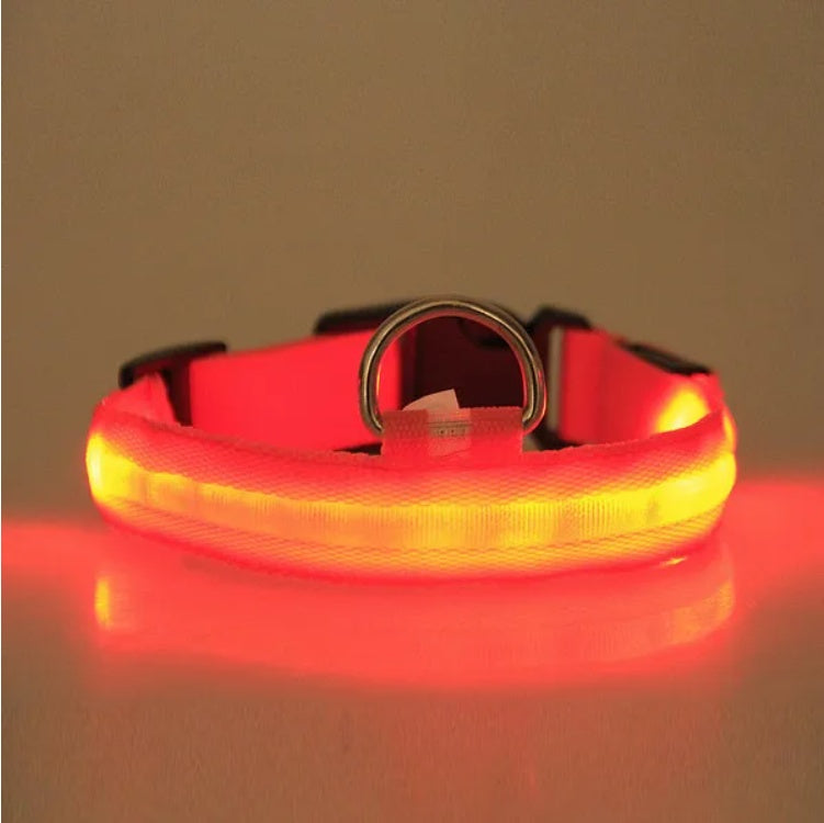 Halo-Style LED Safety Collar