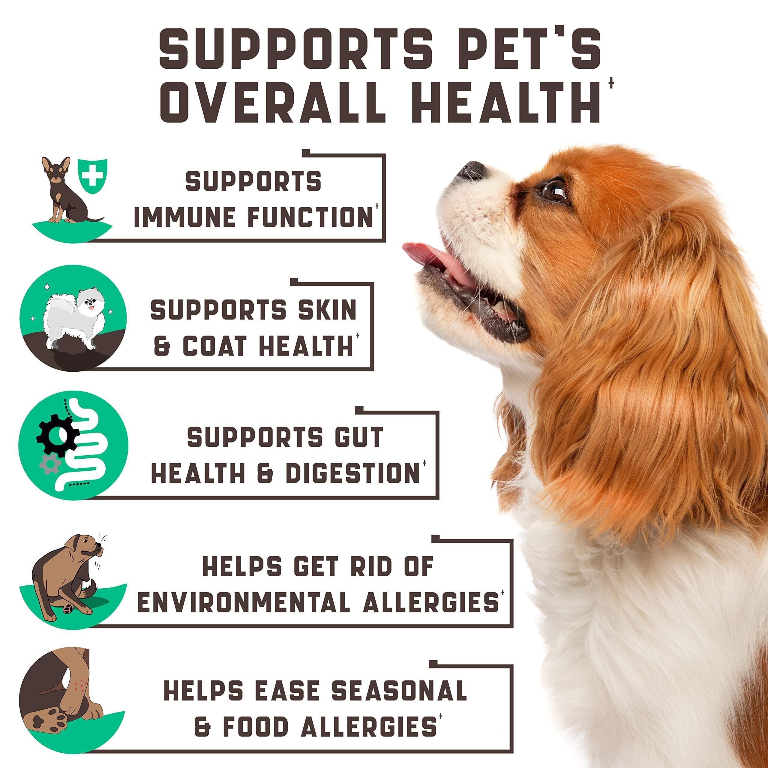 Natural Allergy Relief Chews for Dogs, 180 Count