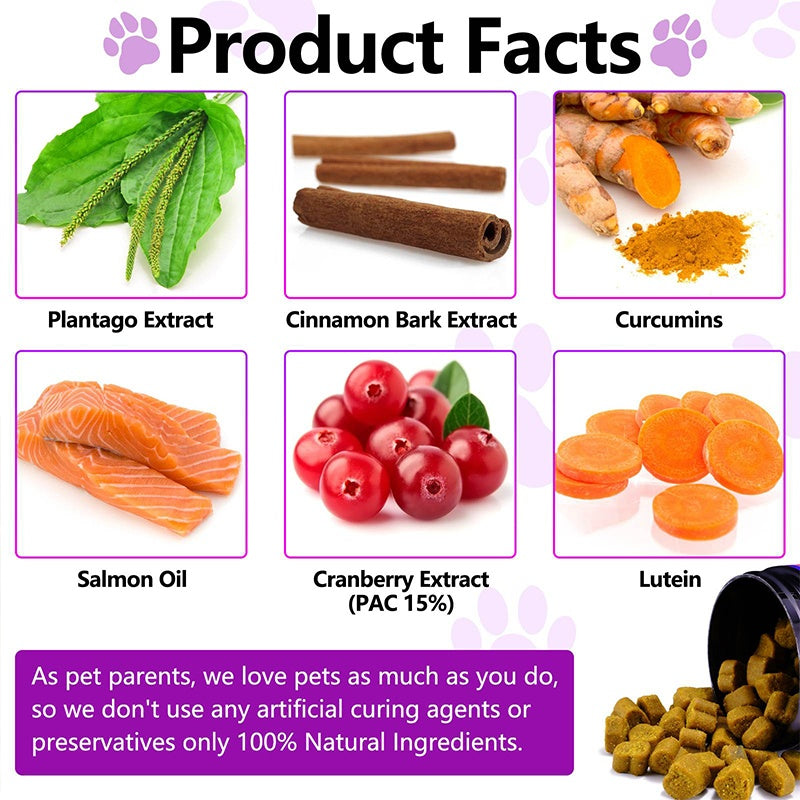 Probiotic Chews for Canine Digestive Health