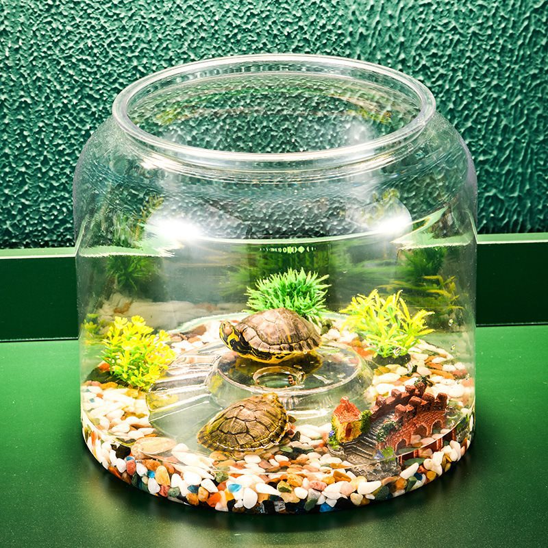 Desktop Landscaping Fish Tank, Large