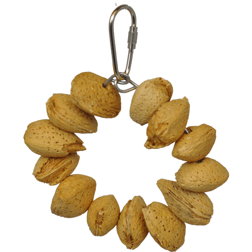 Almond Nut Ring Jr. Bird Toy