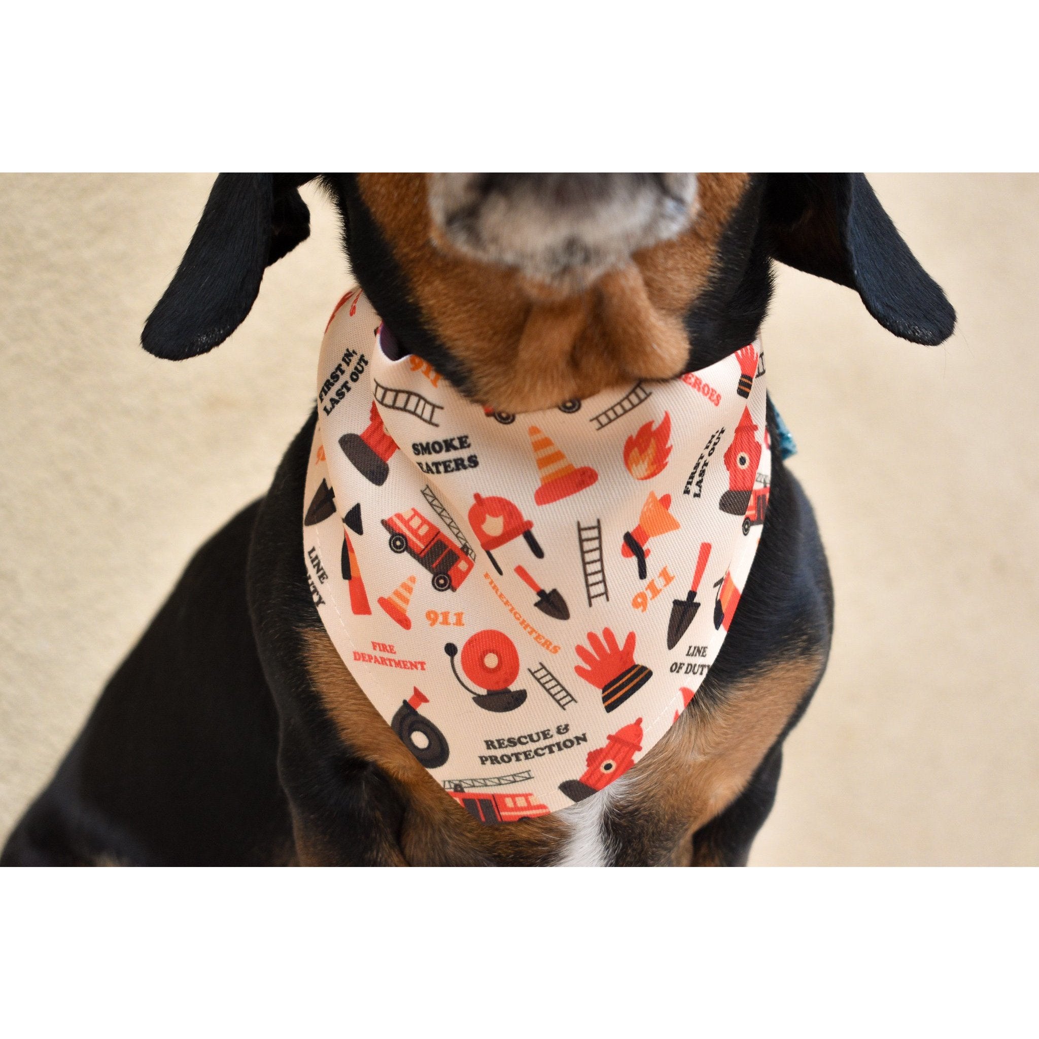 Elegant Reversible Pet Bandana