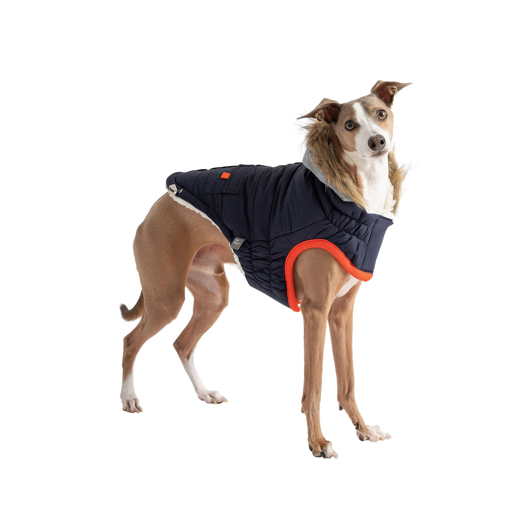 Winter Sailor Pet Parka - Navy