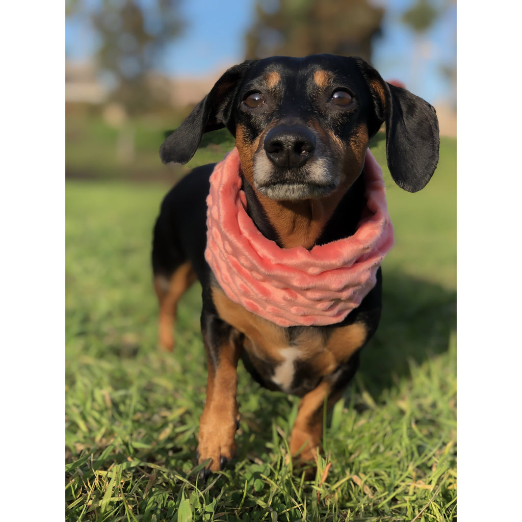Elegant Faux Fur Scarf for Pet and Owner