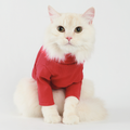 Red Label Turtleneck Cotton Pet Sweater