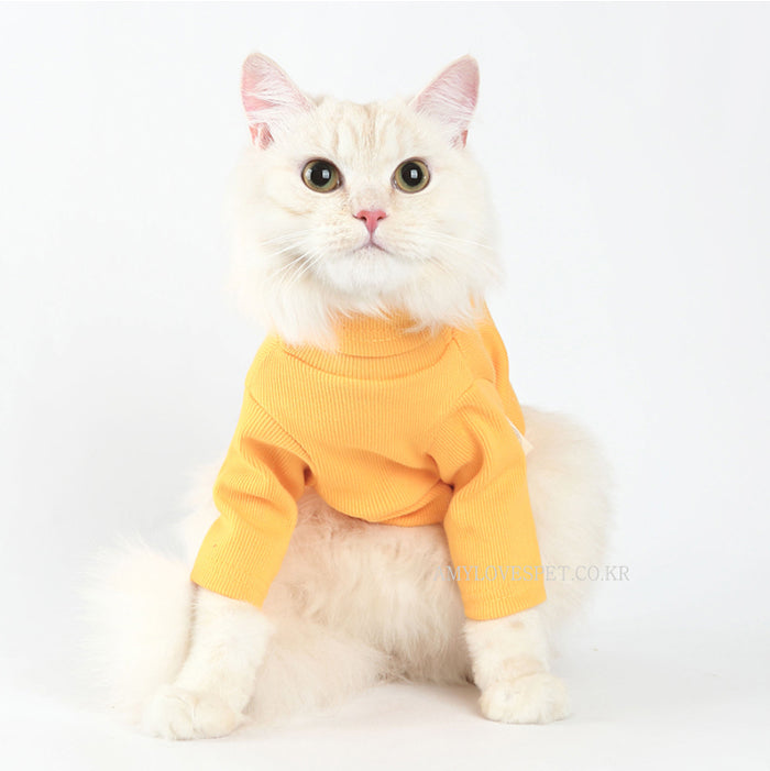Graceful Knit Turtleneck in Saffron