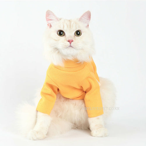 Graceful Knit Turtleneck in Saffron
