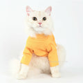 Graceful Knit Turtleneck in Saffron