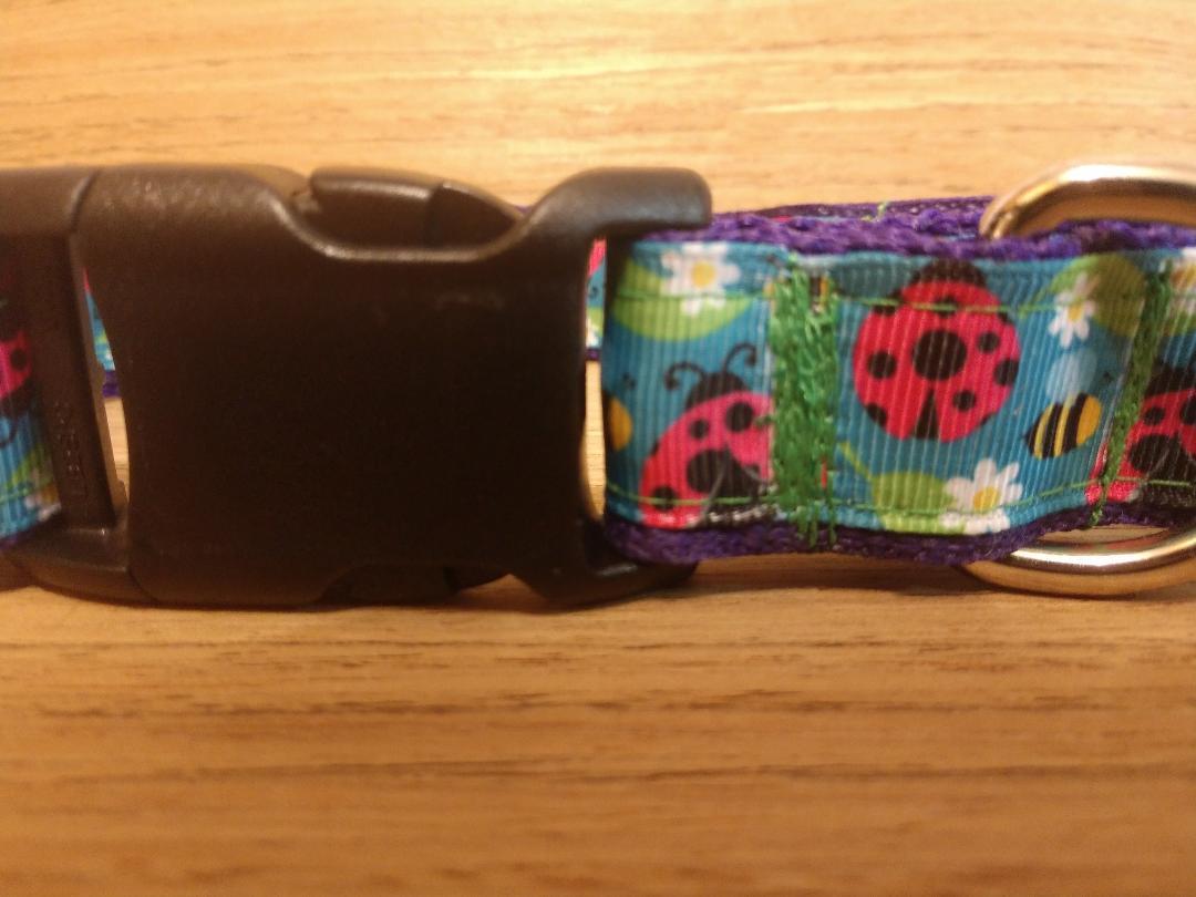Martingale Collar, Leash, and Hands-Free System - Ladybugs