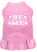 Be Thankful For Me Screen Print Pet Dress, Light Pink