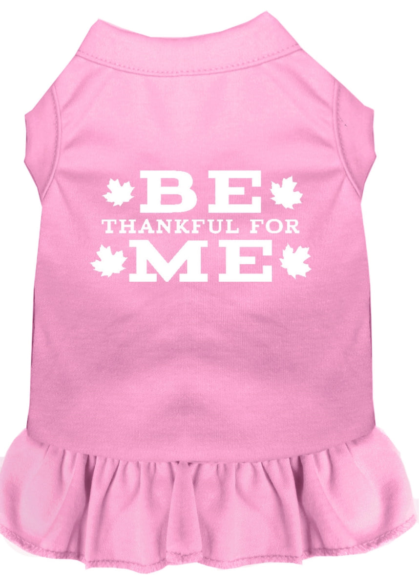 Be Thankful For Me Screen Print Pet Dress, Light Pink