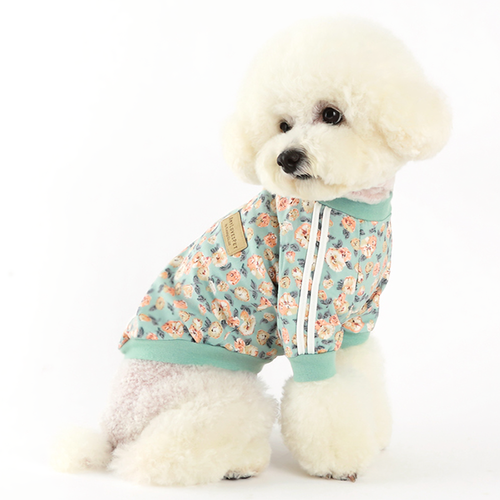 Nancy Mint Cotton Pet Track Top