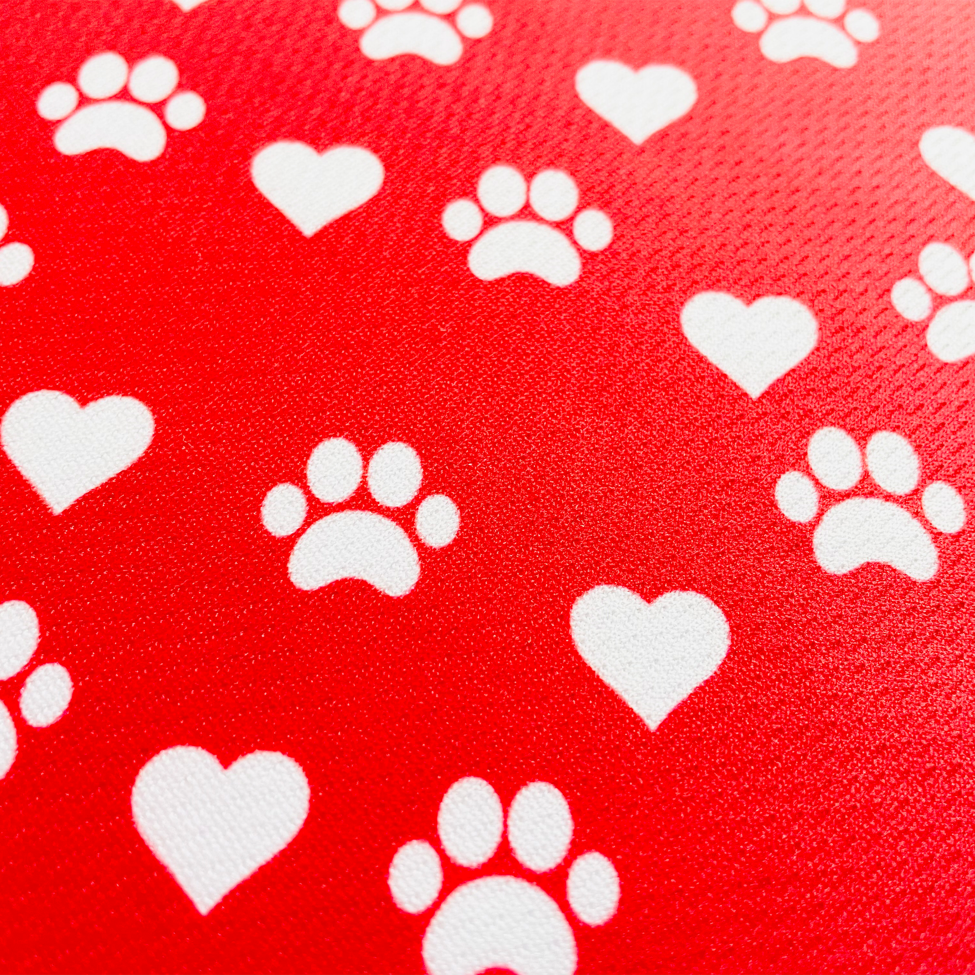 Red Hearts Pet Bandana