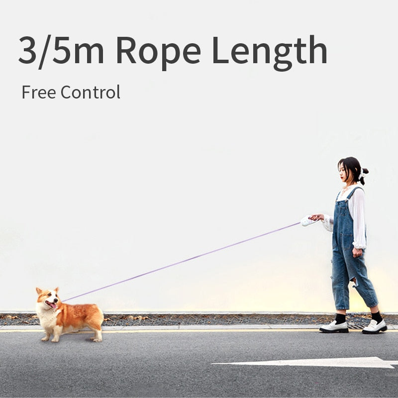 Retractable Leash with Integrated Lighting