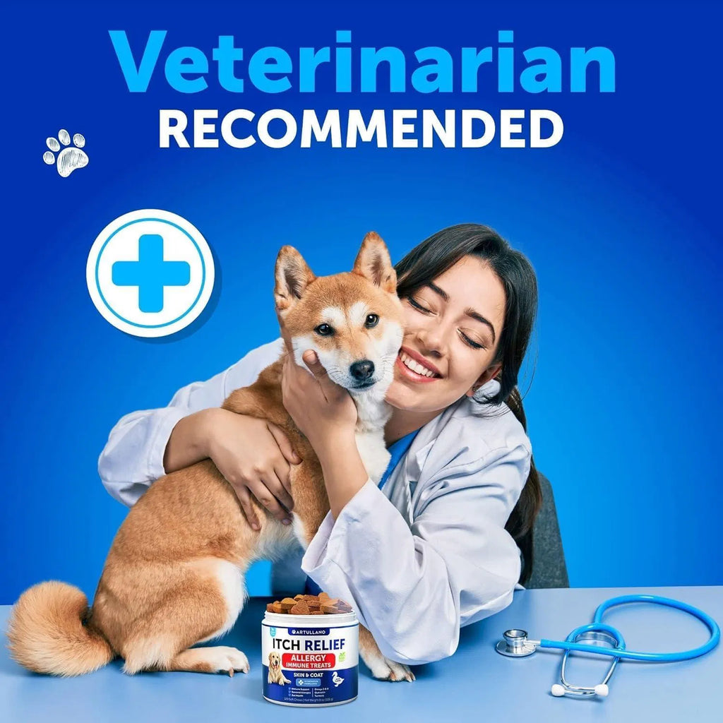 Allergy & Itch Relief Chews for Dogs, 120 Count