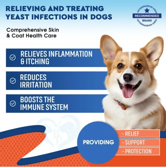Natural Yeast Infection Drops for Canine Relief