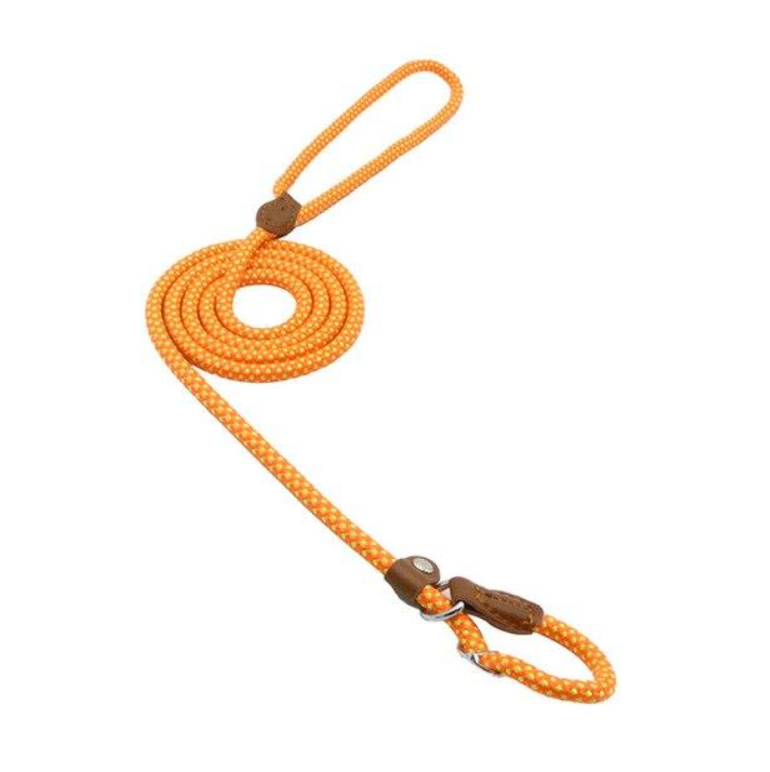 Nylon Duo Collar and Lead Set