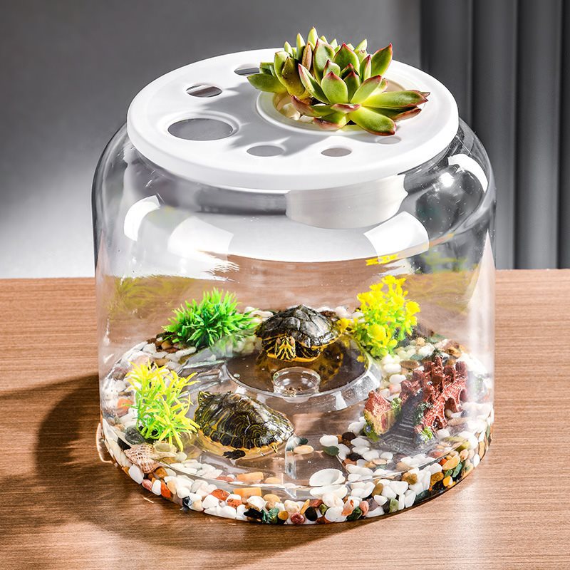 Desktop Landscaping Fish Tank, Large