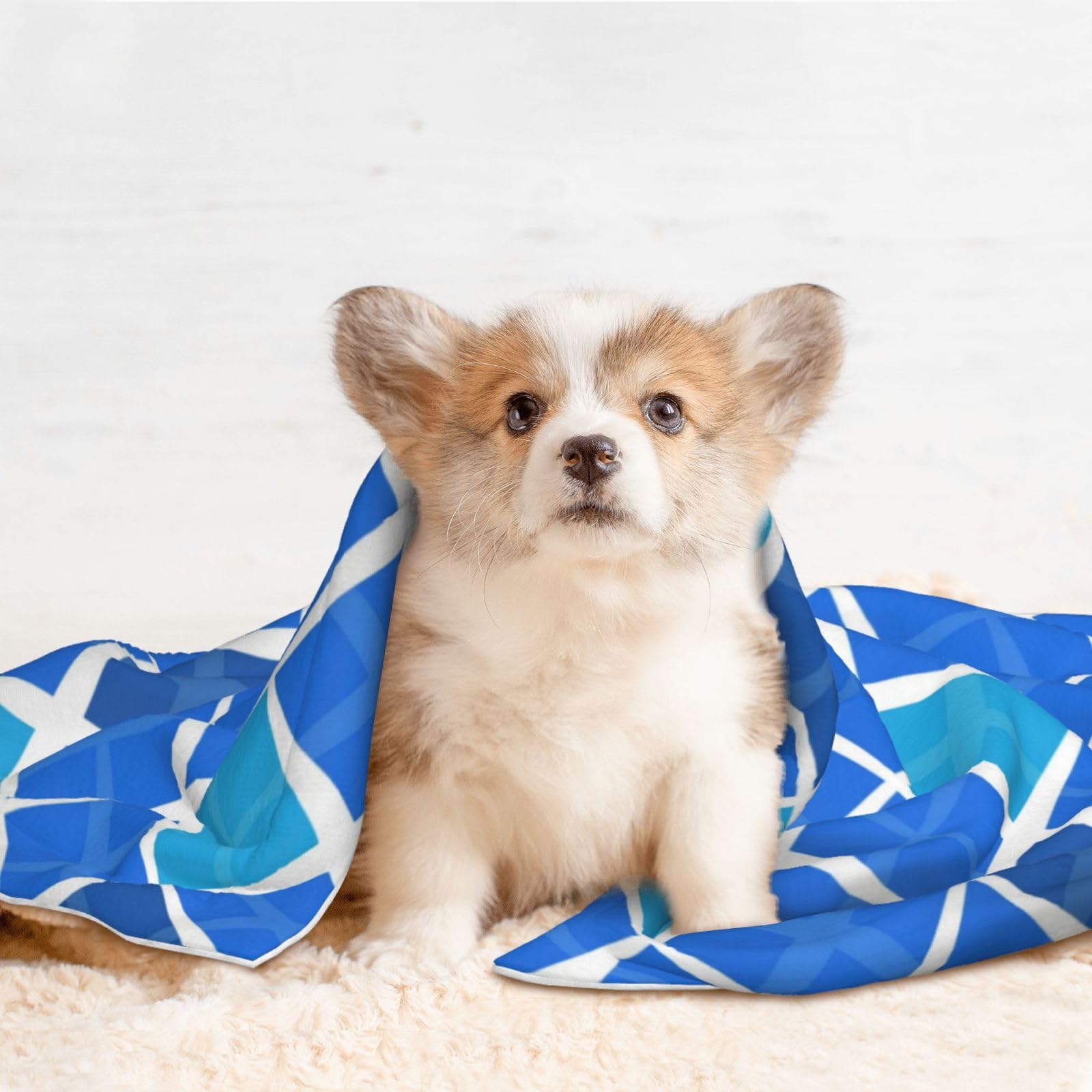 Geometric Plush Pet Blanket, Blue