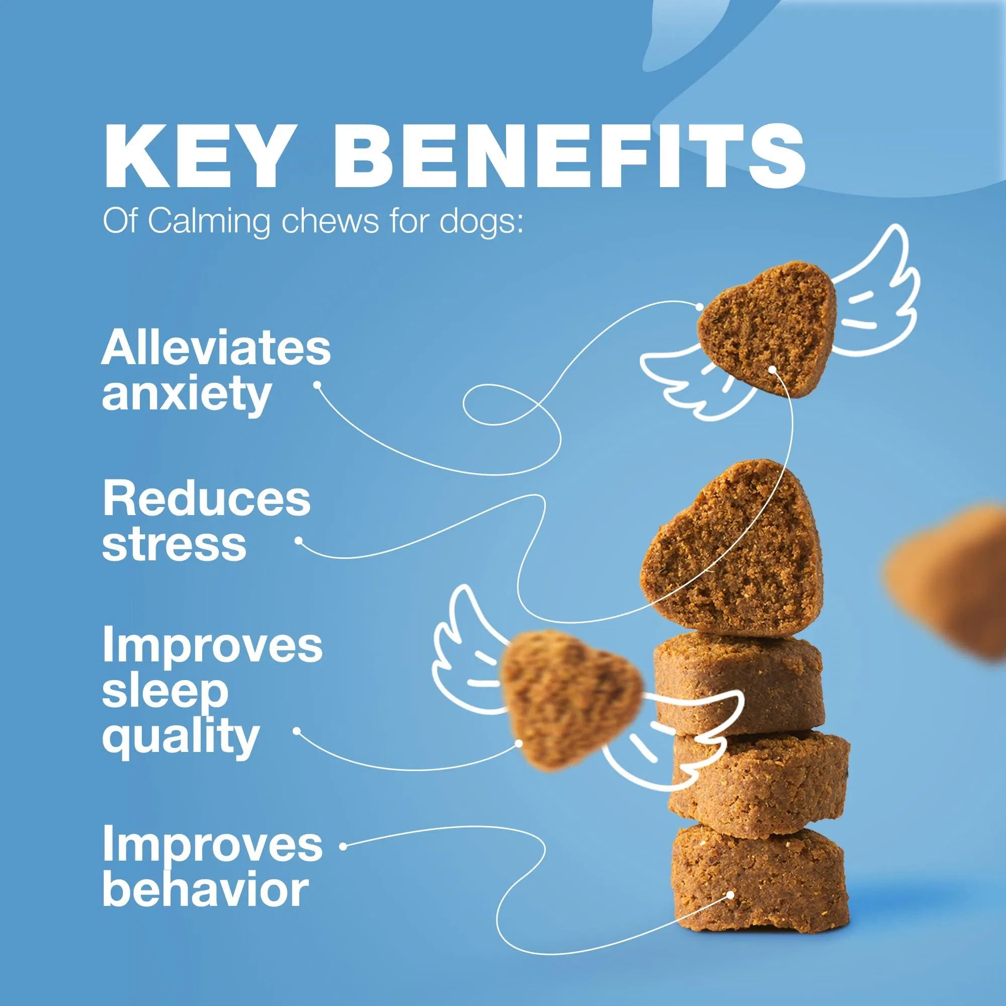 Hemp Calming Chews for Canine Anxiety Relief
