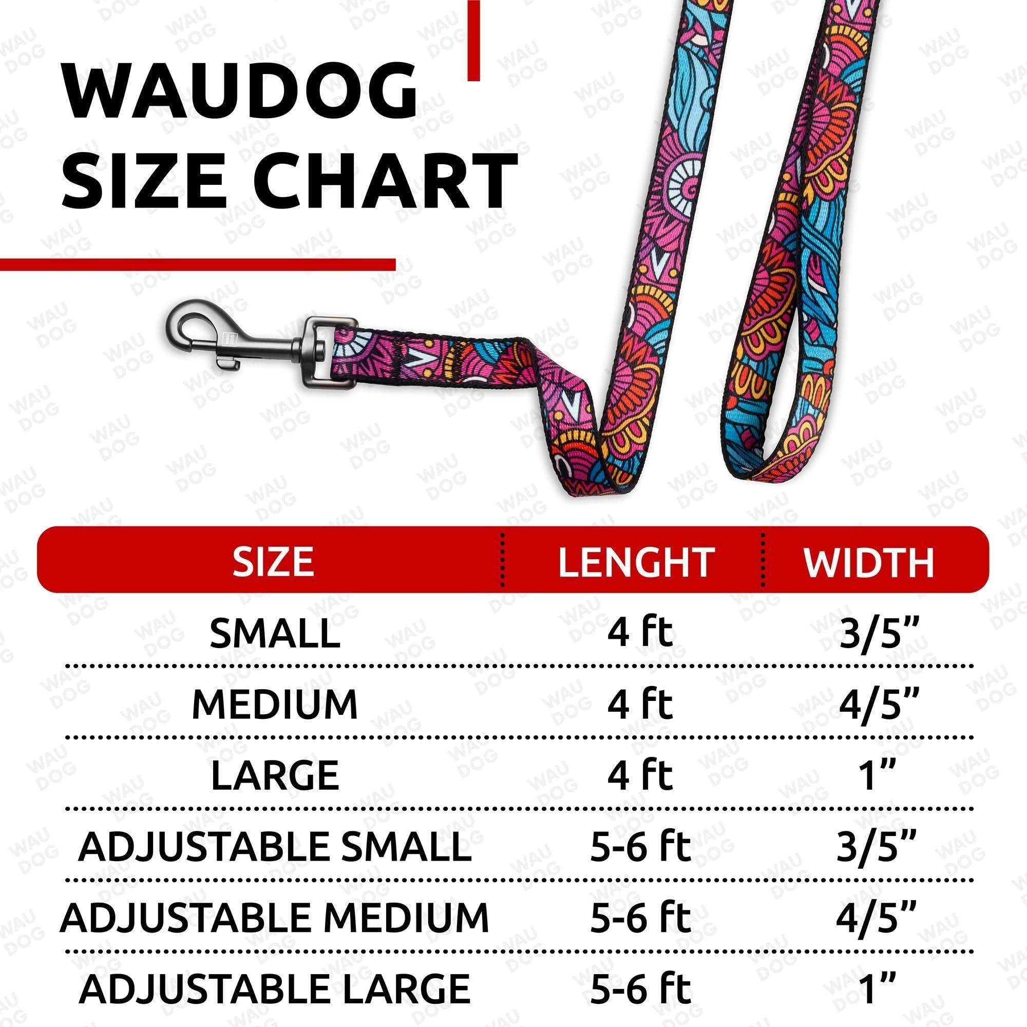 Durable Nylon Leash, 4 Ft x 1 Inch, Summer Colors