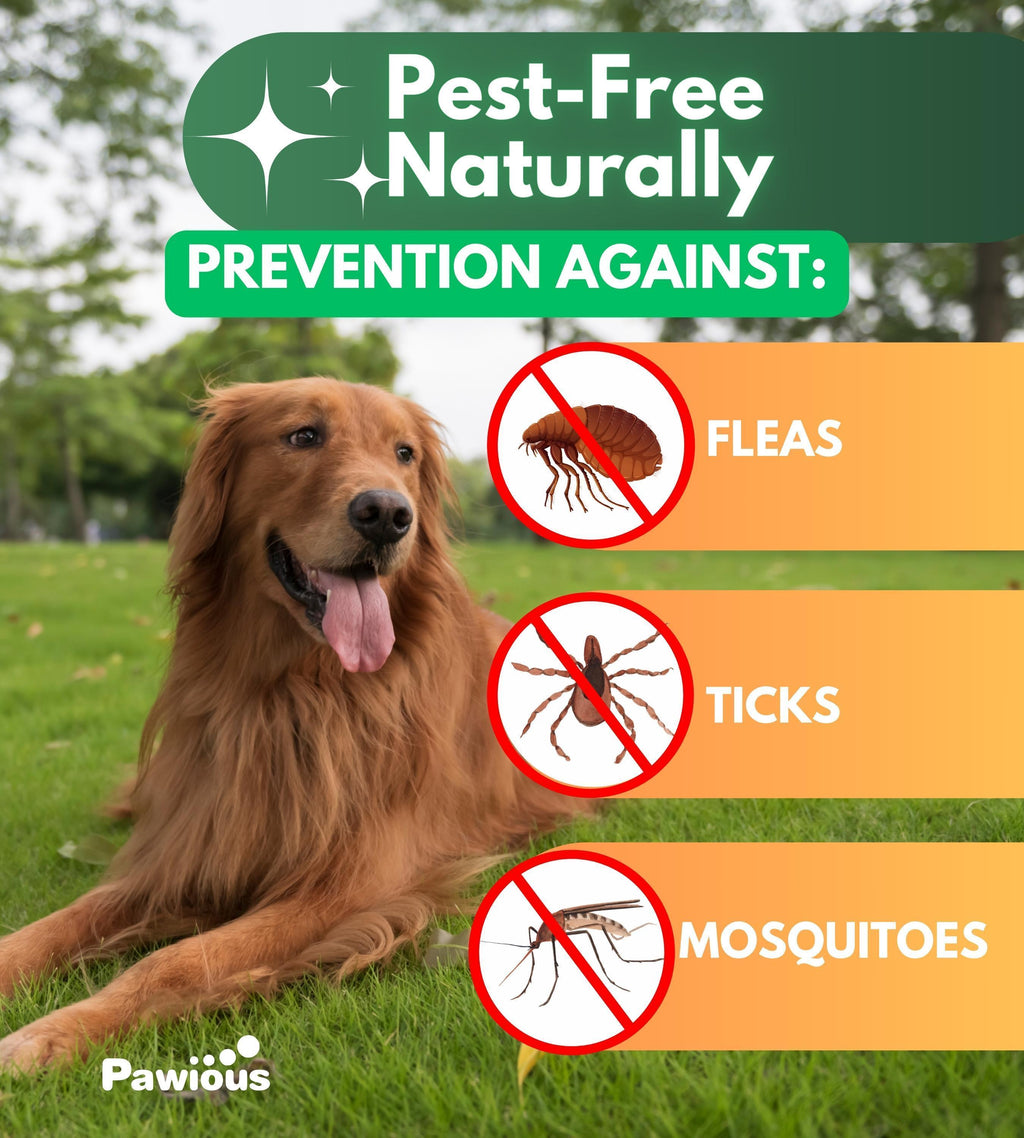 Natural Flea & Tick Prevention Chewables for Dogs, 120 Count