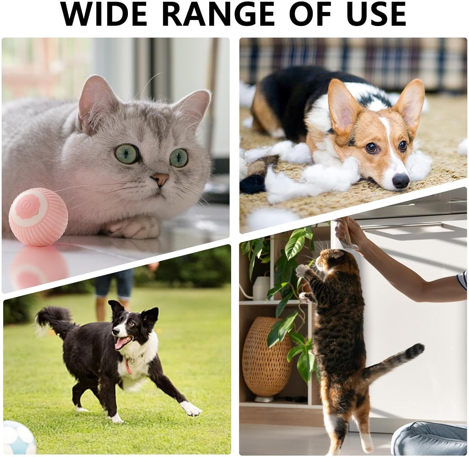 Interactive Pet Enrichment Ball