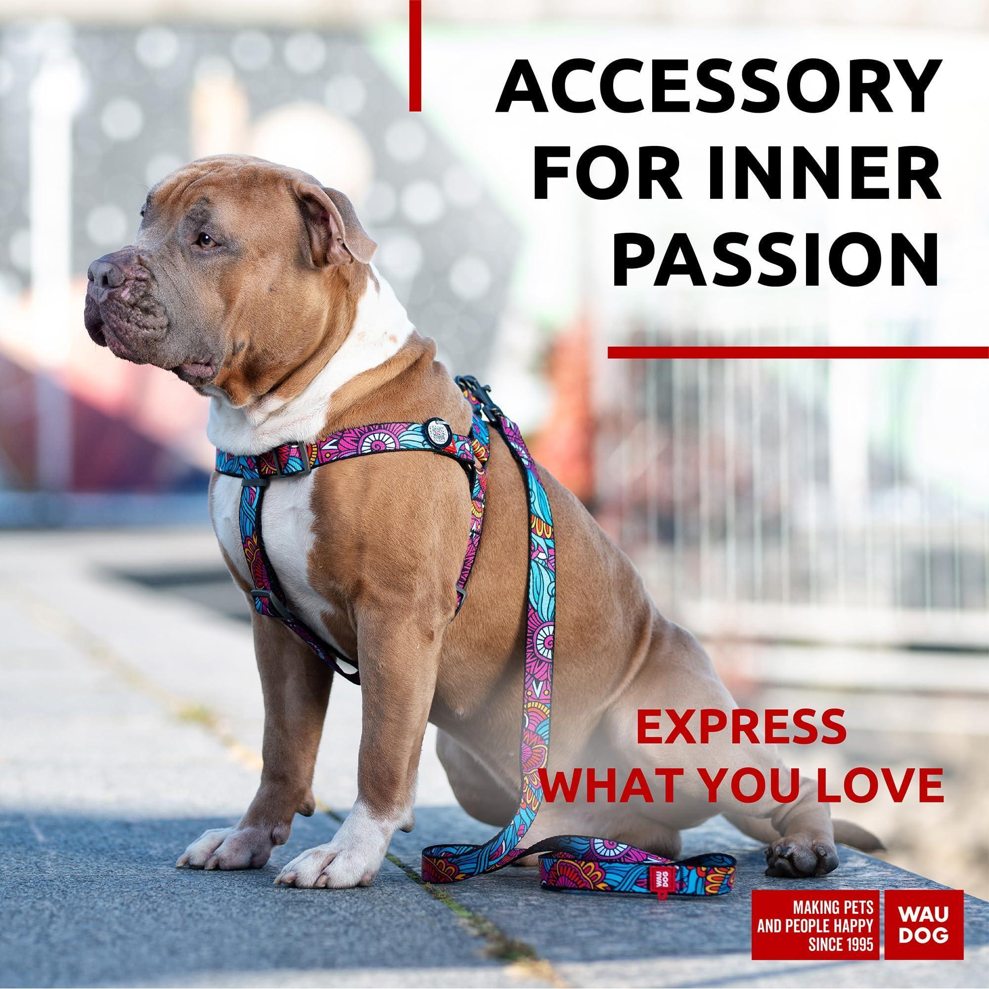 Durable Nylon Leash, 4 Ft x 1 Inch, Summer Colors