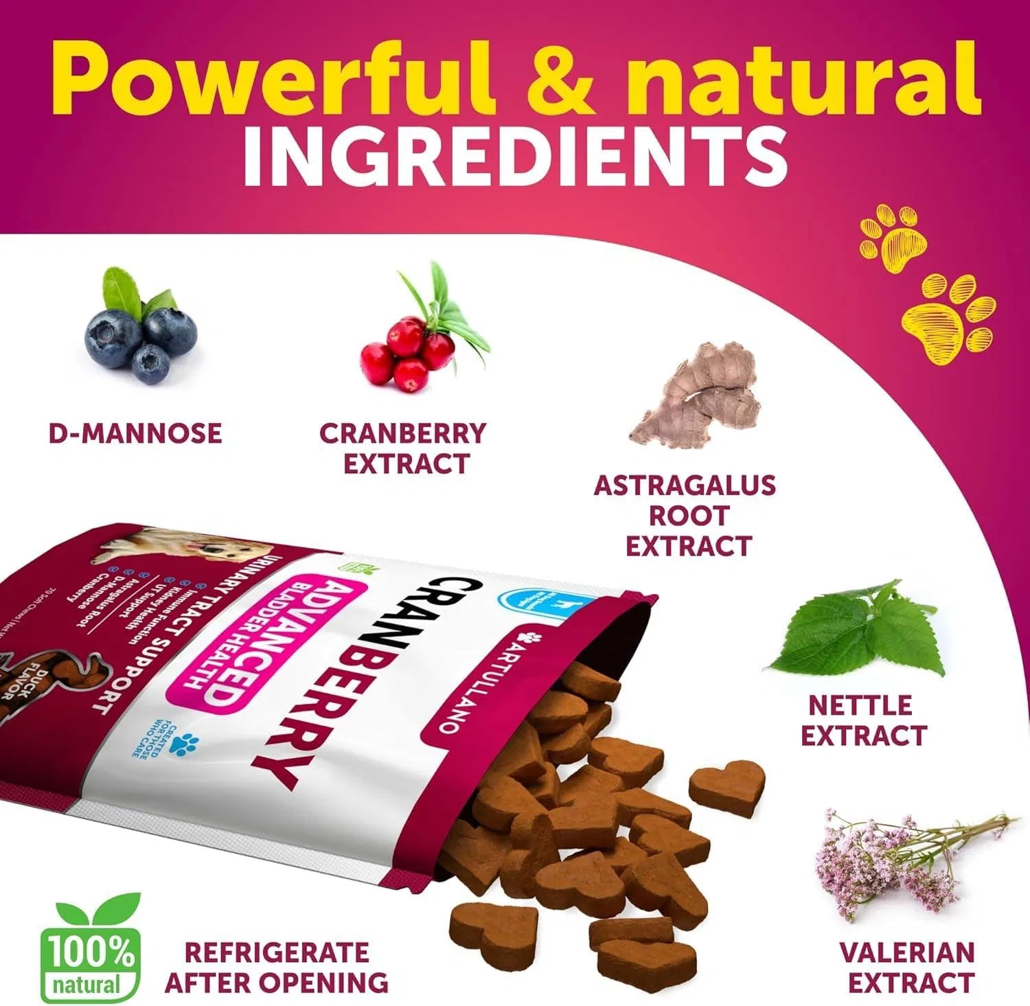 Cranberry Bladder & Kidney Support Soft Chews for Dogs, 70 C