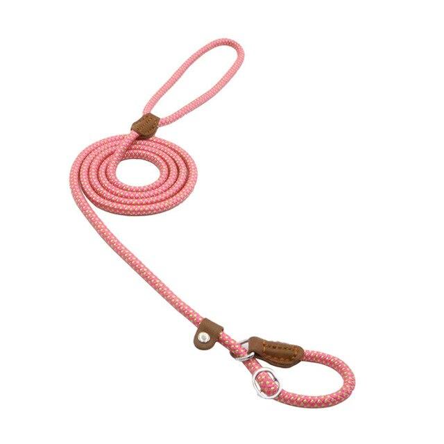 Nylon Duo Collar and Lead Set