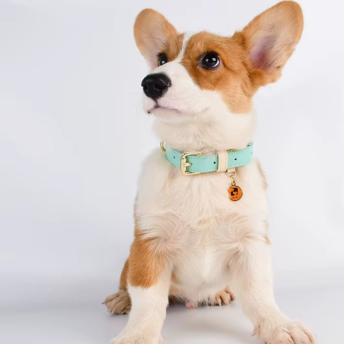 Genuine Leather Dog Collar, S-M-L
