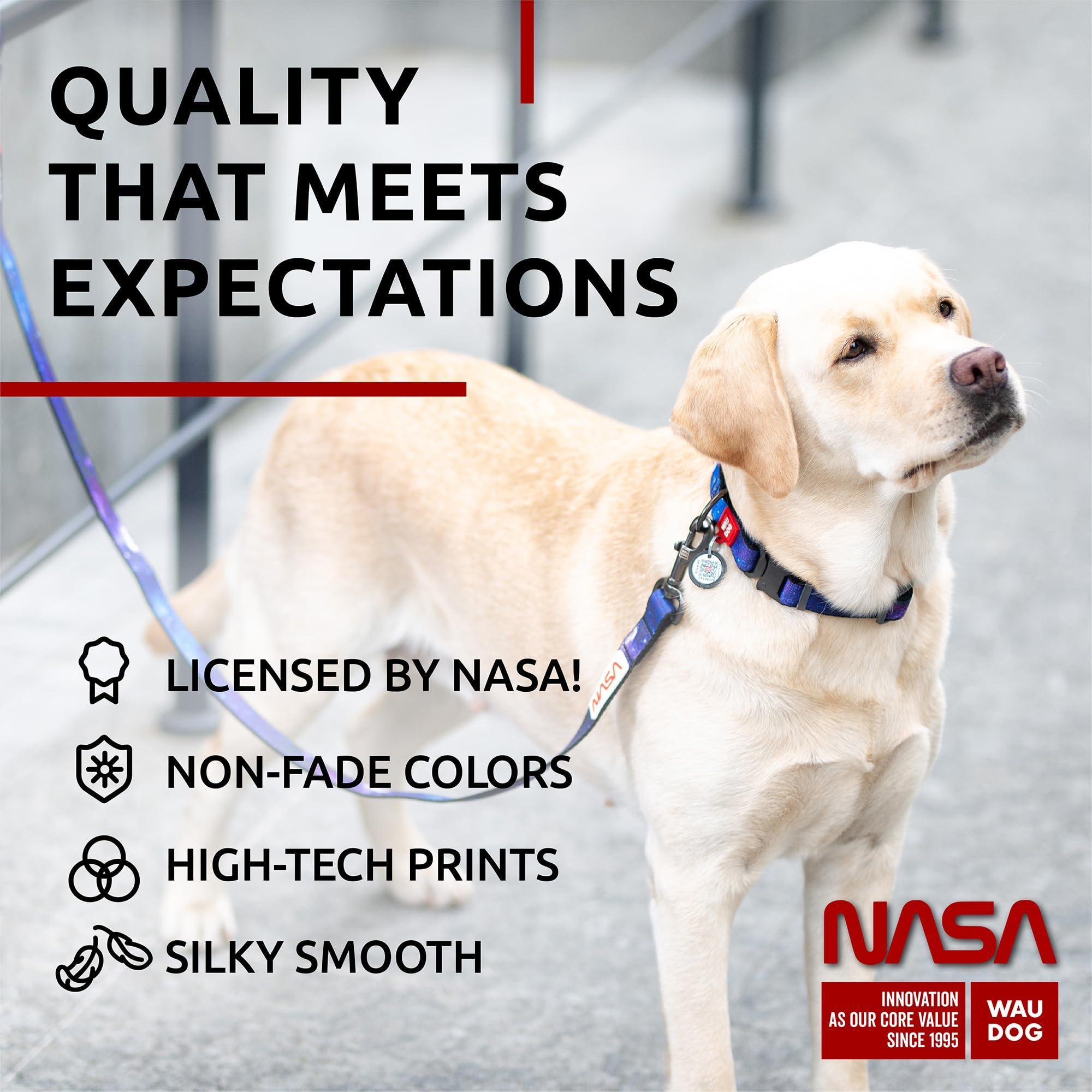 Heavy-Duty Nylon Leash, 4 Ft x 1 In, NASA Design