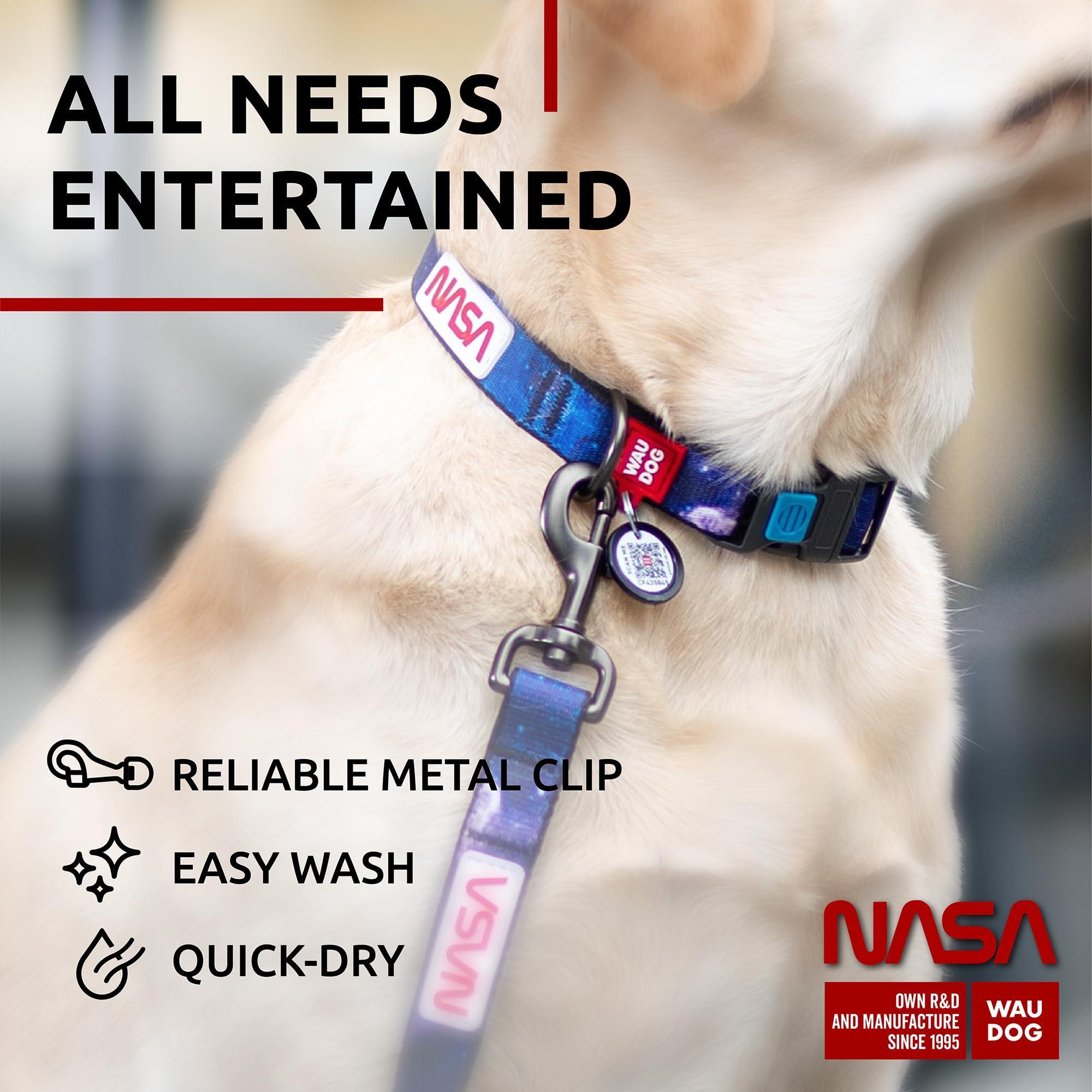 Heavy-Duty Nylon Leash, 4 Ft x 1 In, NASA Design