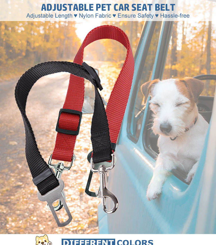 Adjustable Vehicle Safety Leash