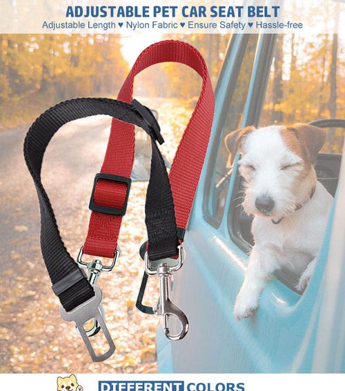 Adjustable Vehicle Safety Leash