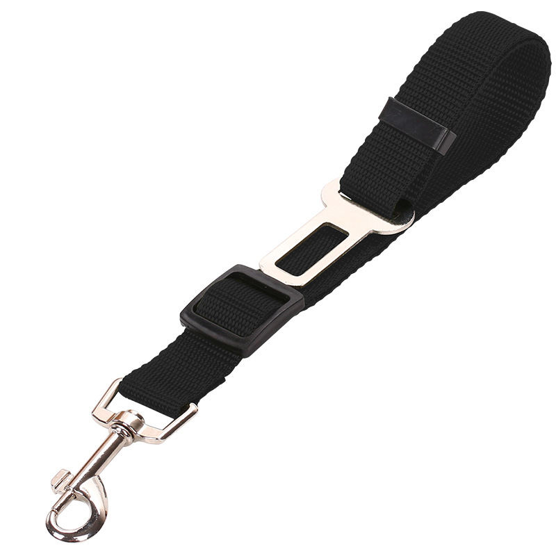 Adjustable Vehicle Safety Leash