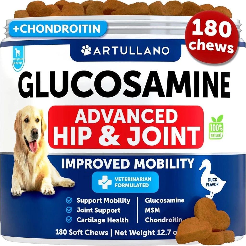 Canine Hip and Joint Support Chews, 120 Count