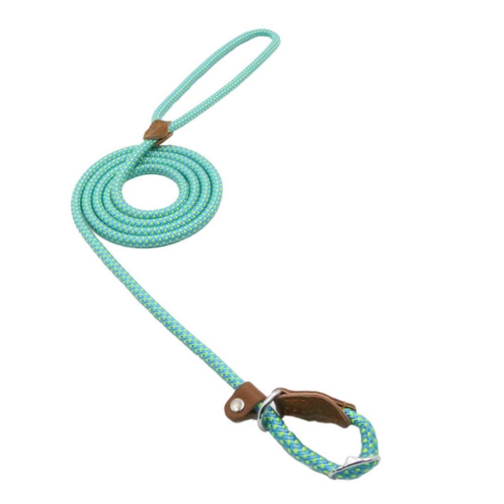 Nylon Duo Collar and Lead Set