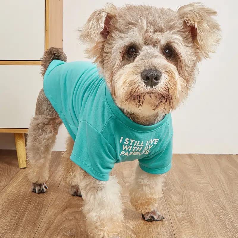 Pet Round Neck T-Shirt in Red, Blue, Black, Khaki
