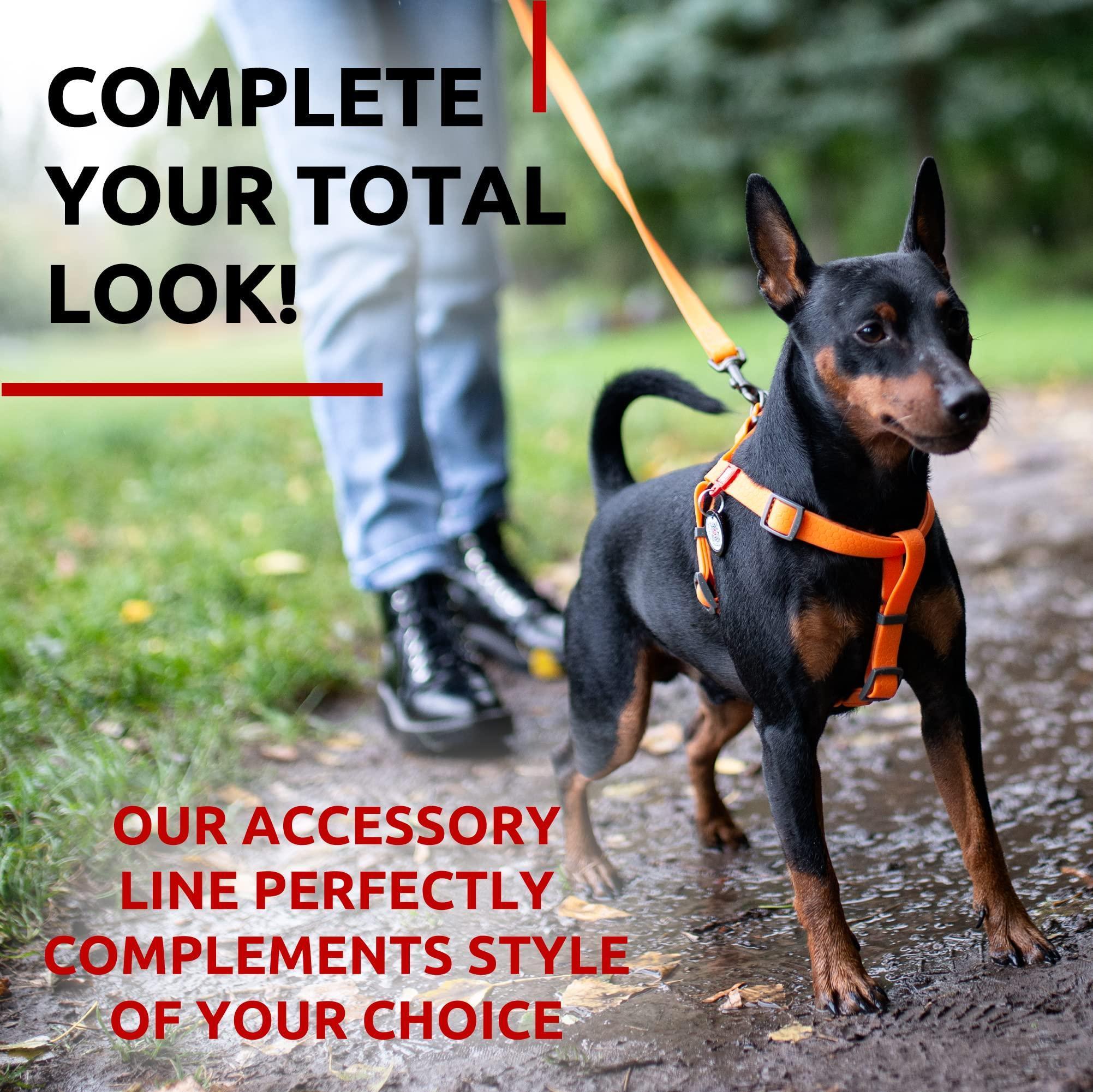 Orange 6 Ft. Waterproof Dog Leash, 3/5 in. Width