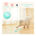 Interactive Pet Enrichment Ball