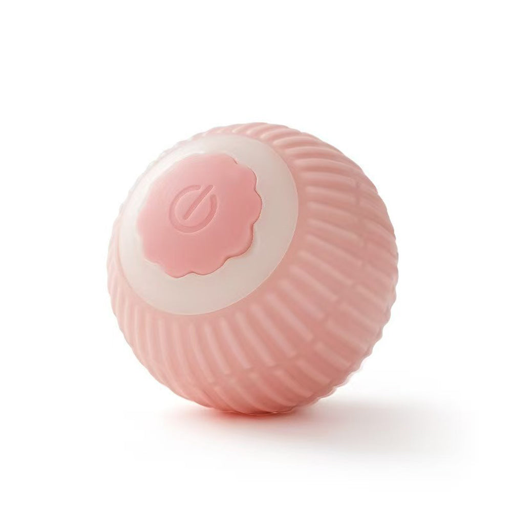 Interactive Pet Enrichment Ball
