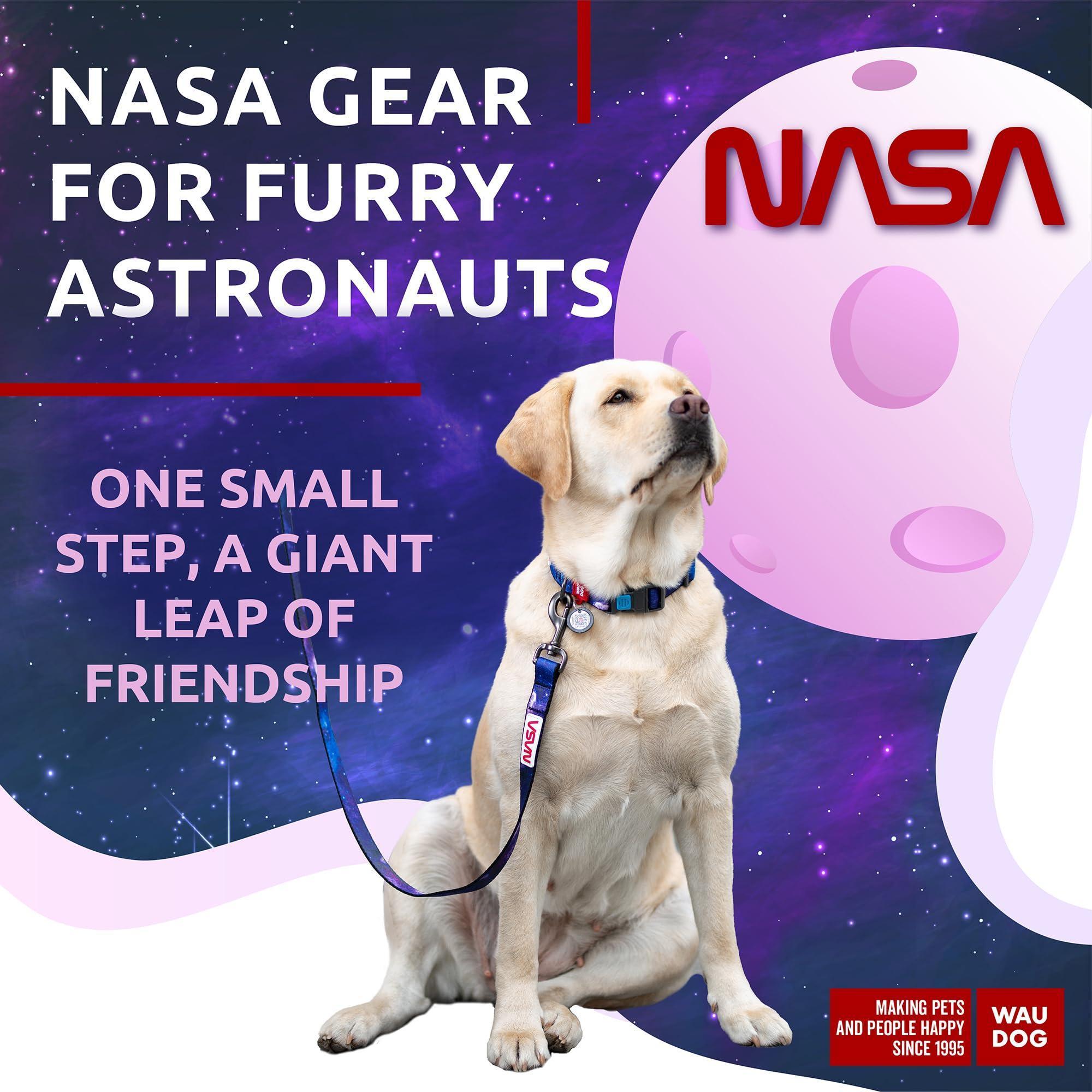 Heavy-Duty Nylon Leash, 4 Ft x 1 In, NASA Design