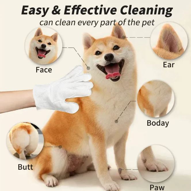 Pet Hygiene Gloves & Wipes Collection