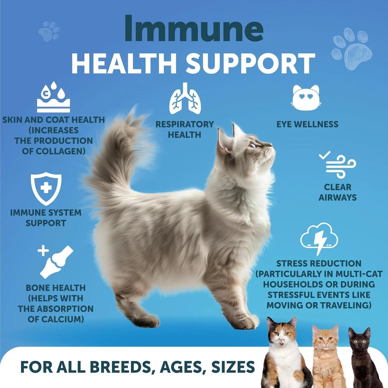 Feline L-Lysine Powder Supplement for Immune Support